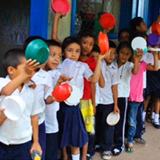 fundacion cerro verde